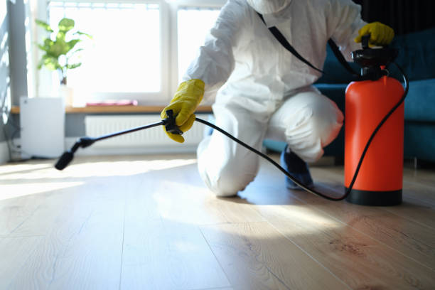 Professional Pest Control in Coleytown, CT